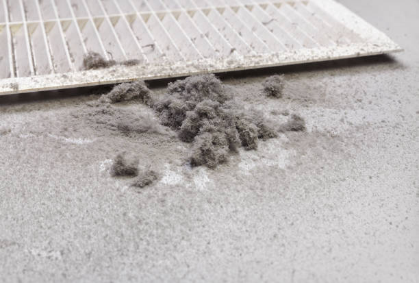 Best HVAC Duct Inspection Services  in Pleasant Hill, TX