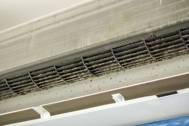 Best Air Duct Cleaning Near Me  in Pleasant Hill, TX
